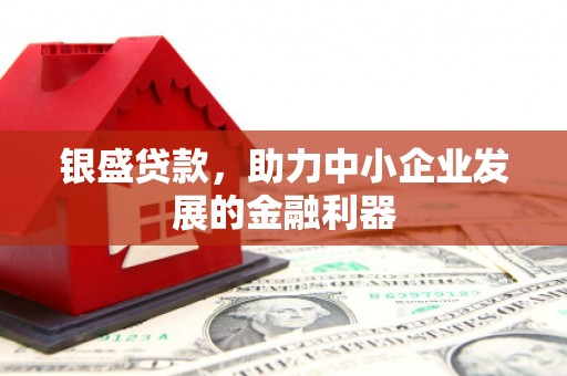 社旗银盛贷款，助力中小企业发展的金融利器