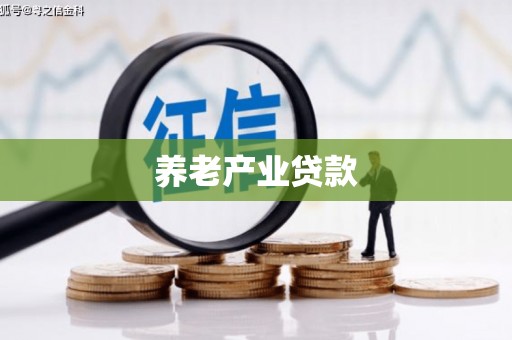 社旗养老产业贷款