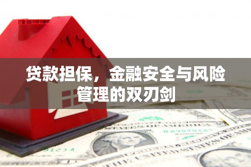社旗贷款担保，金融安全与风险管理的双刃剑