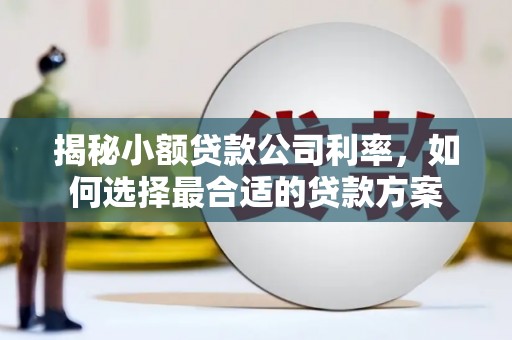 社旗揭秘小额贷款公司利率，如何选择最合适的贷款方案
