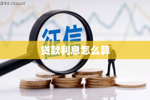 社旗贷款利息怎么算