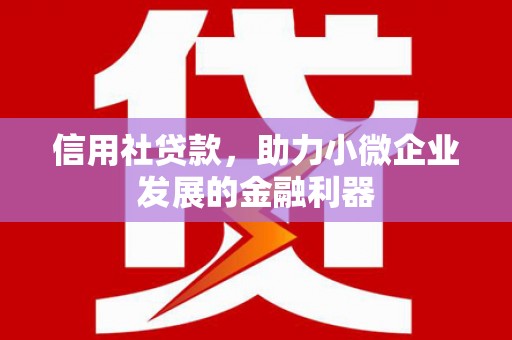 社旗信用社贷款，助力小微企业发展的金融利器