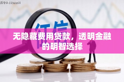 社旗无隐藏费用贷款，透明金融的明智选择