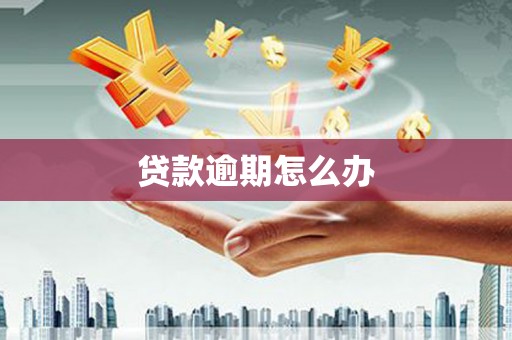 社旗贷款逾期怎么办