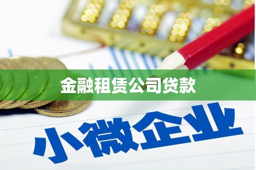 社旗金融租赁公司贷款