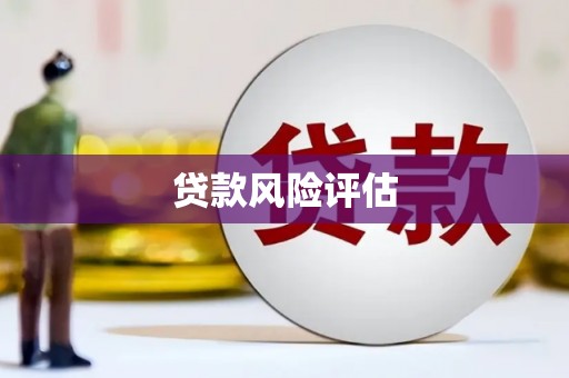 社旗贷款风险评估