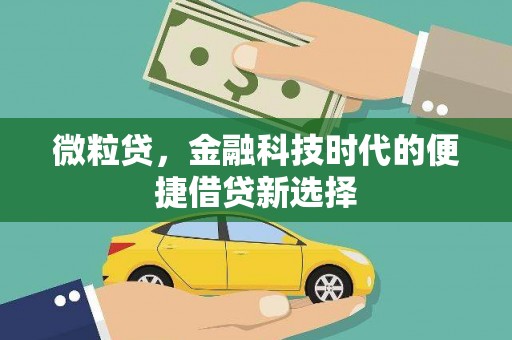 社旗微粒贷，金融科技时代的便捷借贷新选择
