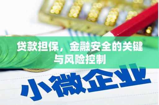 社旗贷款担保，金融安全的关键与风险控制