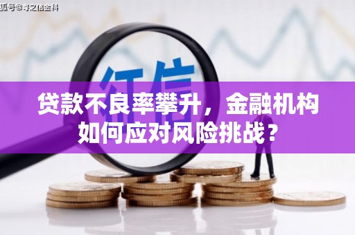 社旗贷款不良率攀升，金融机构如何应对风险挑战？