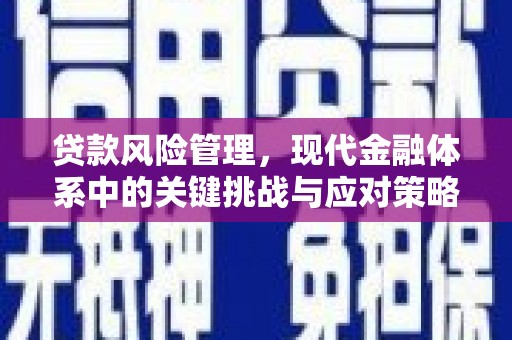 社旗贷款风险管理，现代金融体系中的关键挑战与应对策略