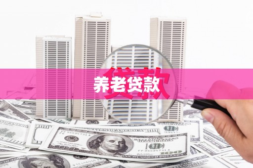 社旗养老贷款