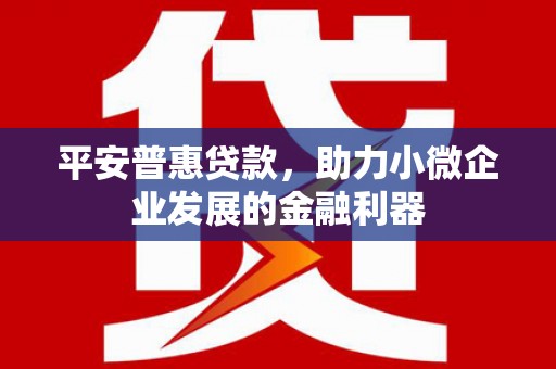 社旗平安普惠贷款，助力小微企业发展的金融利器