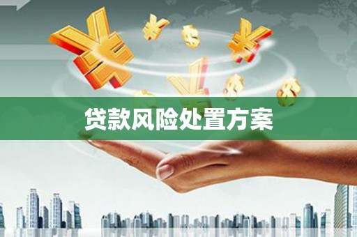 社旗贷款风险处置方案
