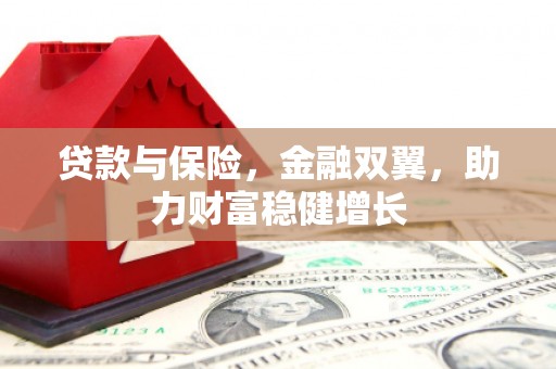 社旗贷款与保险，金融双翼，助力财富稳健增长