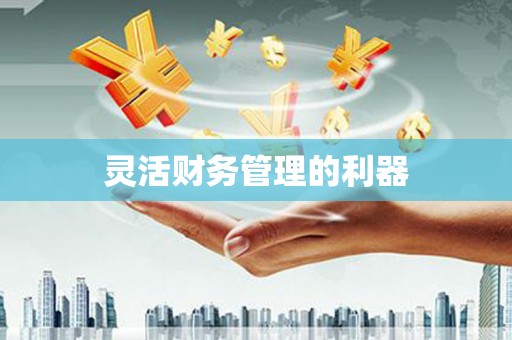 社旗灵活财务管理的利器