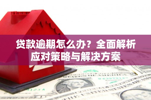 社旗贷款逾期怎么办？全面解析应对策略与解决方案