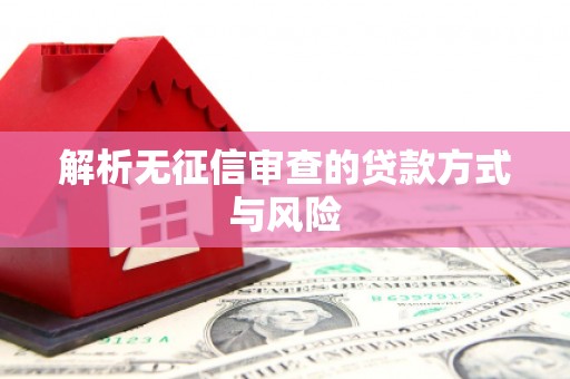 社旗解析无征信审查的贷款方式与风险